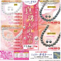 ジュエリーネモト日立店：2/14～2/16パールバーゲンフェア～真珠大直売市～開催